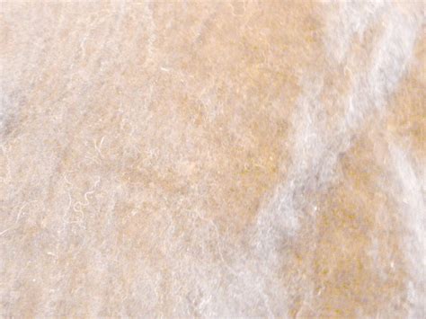 Nappe de laine cardée mérinos recyclée